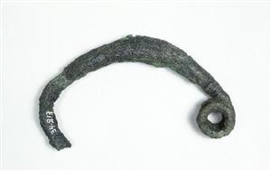 Bow (Fibula) Fibula   
 Photographer:Clara Amit