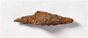 Arrowhead
Photographer:Yolovitch Yael