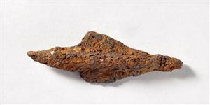 Arrowhead
Photographer:Yolovitch Yael