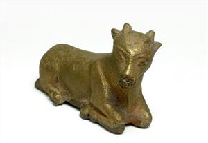 Weight Zoomorphic
Photographer:Clara Amit