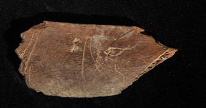 Fragment Spatula Inscribed
Photographer:Yolovitch Yael