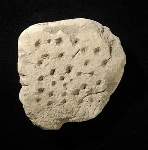Plaque (use unknown) Drilling
Photographer:Yolovitch Yael