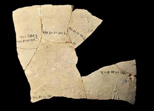 Ostracon Inscribed
Photographer:Yolovitch Yael