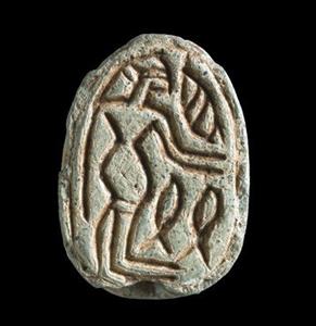 Scarab  
 Photographer:Clara Amit