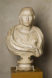 Bust Female Image
Photographer:Meidad Suchowolski