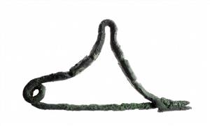 Fibula  
 Photographer:Clara Amit