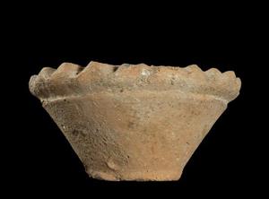 Bowl Flower Pot Shaped 
 Photographer:Clara Amit