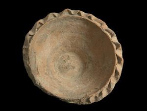 Bowl Flower Pot Shaped 
 Photographer:Clara Amit