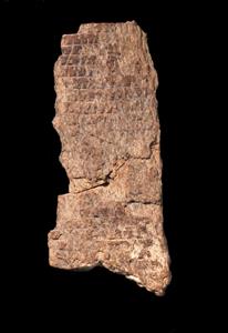 Bone Incised
Photographer:Yolovitch Yael
