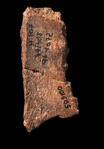 Bone Incised
Photographer:Yolovitch Yael
