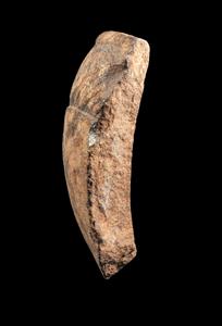 Fragment Bowl With Geometric Pattern  
 Photographer:Yolovitch Yael