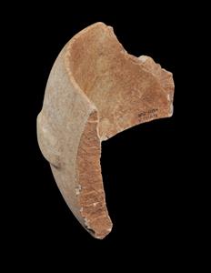 Fragment Bowl Handled  
 Photographer:Yolovitch Yael