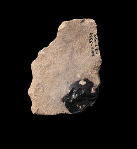 Primary Flake Incised 
 Photographer:Yolovitch Yael