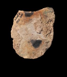 Primary Flake Incised 
 Photographer:Yolovitch Yael