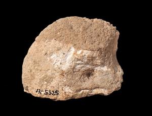 Stone Incised 
 Photographer:Yolovitch Yael