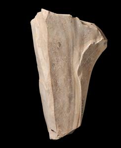 Blade Core Canaanite 
 Photographer:Yolovitch Yael