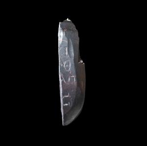 Fragment Amulet Inscribed
Photographer:Yolovitch Yael