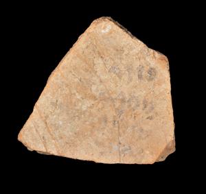 Ostracon Inscribed
Photographer:Yolovitch Yael