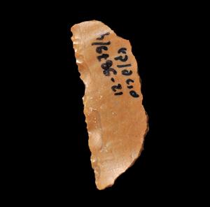 Sickle Blade on Curved Backed Blade  
 Photographer:Yolovitch Yael