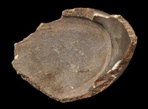Fragment Bowl
Photographer:Yolovitch Yael