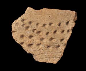 Body Sherd Vessel Puncturing  
 Photographer:Yolovitch Yael
