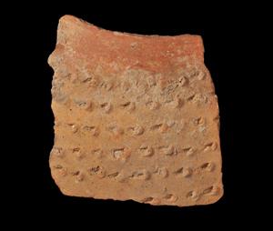 Body Sherd Slipped Red 
 Photographer:Yolovitch Yael