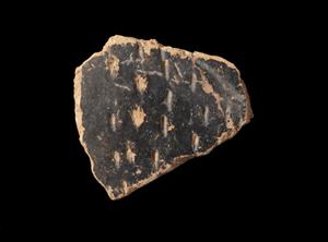 Body Sherd Vessel Reed Impression
Photographer:Yolovitch Yael