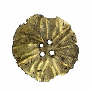 Ornament Rosette 
 Photographer:Clara Amit