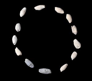 Bead
Photographer:Yolovitch Yael