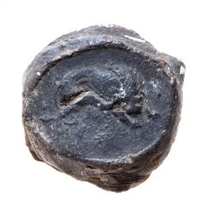 Bulla Charred
Photographer:Clara Amit