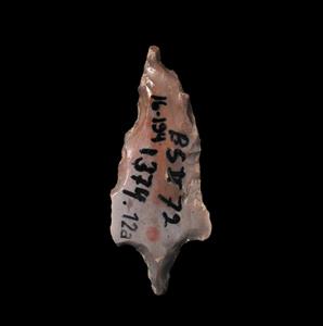 Arrowhead  
 Photographer:Yolovitch Yael