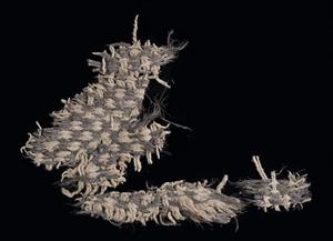 Fragment Textile
Photographer:Clara Amit
