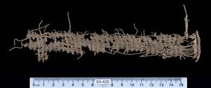 Fragment Textile
Photographer:Clara Amit