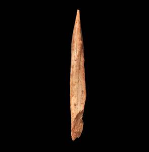 Spear-Head
Photographer:Yolovitch Yael