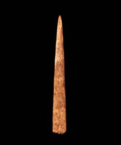 Spear-Head
Photographer:Yolovitch Yael