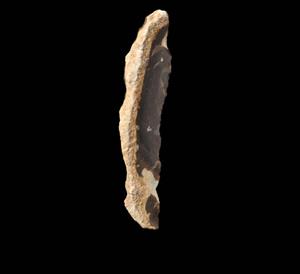 Sickle Blade on Backed Blade
Photographer:Yolovitch Yael