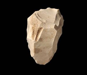 Narrow Carinated Scraper
Photographer:Yolovitch Yael