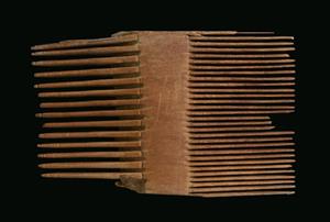 Comb
Photographer:Clara Amit
