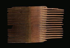 Comb
Photographer:Clara Amit