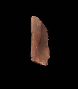 Sickle Blade Truncated
Photographer:Yolovitch Yael