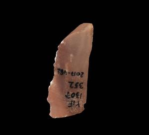 Sickle Blade Truncated
Photographer:Yolovitch Yael