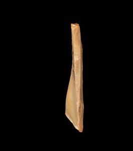 Double Dihedral Burin
Photographer:Yolovitch Yael