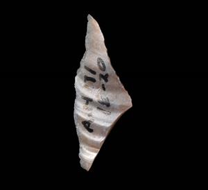 Triangle (Microlith)
Photographer:Yolovitch Yael