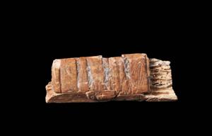Fragment Bone Incised
Photographer:Yolovitch Yael