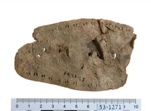 Fragment Sole
Photographer:Clara Amit