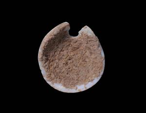 Bead (pierced shell)
 Photographer:Yolovitch Yael