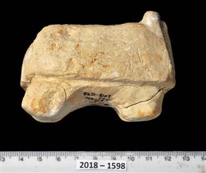 Statuette Zoomorphic
Photographer:Yolovitch Yael