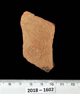 Fragment Pottery Engraved
Photographer:Yolovitch Yael