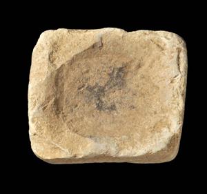 Altar Incised
 Photographer:Yolovitch Yael