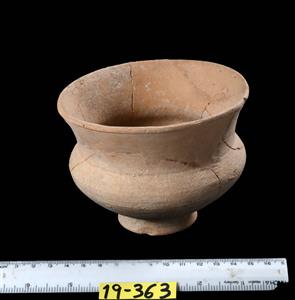 Carinated Bowl (twice)
Photographer:Yolovitch Yael